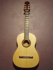 Engelmann spruce top, Indian rosewood back and sides